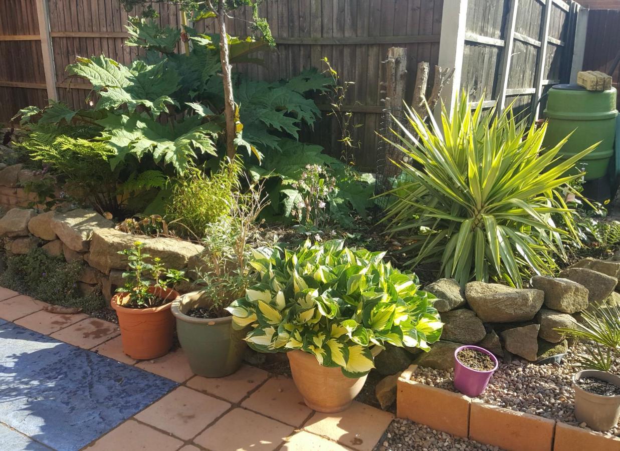 Self Contained Ground Floor Bedroom With Ensuite Wet Room Continental Breakfast Included Parking For 1 Car Outside Heanor 外观 照片